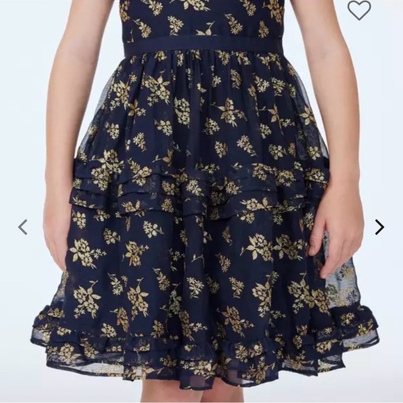Janie and Jack Dark Marine Floral The Sparkle Holiday Dress Navy Gold Glitter - Picture 3 of 10